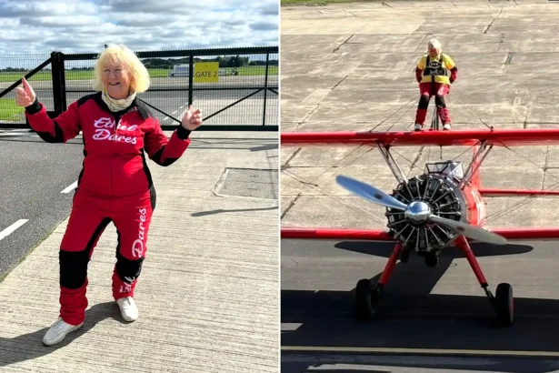 A daredevil gran has taken to the skies strapped to the top of a plane aged 80 - as her screaming grandchildren dubbed her 'Mad Nanna' and she raised £820 for charity.