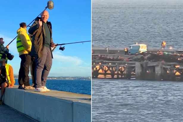 Celebrity chef Tom Kerridge faces backlash after a van was driven onto a pedestrian-only harbour wall in Brixham, Devon to film him fishing. Locals slam the breach of rules.