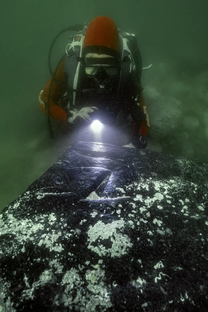 Divers discover a rare 2,000-year-old bronze ring depicting the Lighthouse of Alexandria, one of the Seven Wonders of the Ancient World, in Cleopatra's sunken palace.