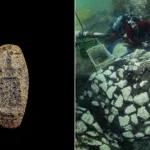 Divers discover a rare 2,000-year-old bronze ring depicting the Lighthouse of Alexandria, one of the Seven Wonders of the Ancient World, in Cleopatra's sunken palace.