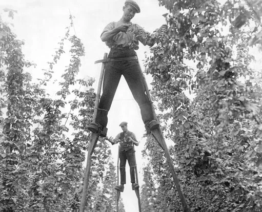 Incredible previously unseen photographs have revealed everyday life across Britain during the 1930s. The remarkable black-and-white images capture a country caught.