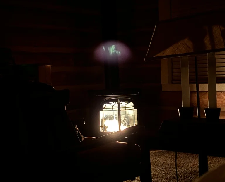 A woman who stayed at a cabin in the woods alone has revealed her shock after spotting what appeared to be a man with two arms reaching out in a photo she took of the.