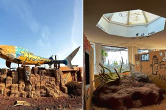 Eerie pictures reveal a former Spanish holiday attraction where sharks once swam, but now a giant graffiti-covered predator overlooks the decaying complex.