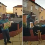 Delivery driver forced to scramble up fence after being chased by two small barking dogs in Staffordshire. The hilarious incident has gone viral with over 860,000 views.