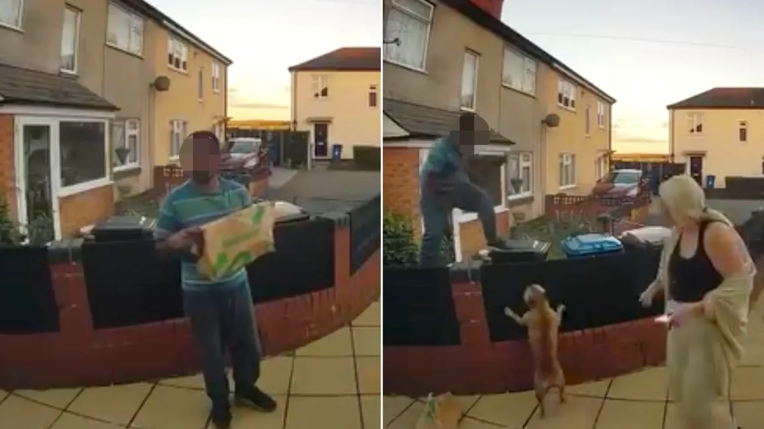 Delivery driver forced to scramble up fence after being chased by two small barking dogs in Staffordshire. The hilarious incident has gone viral with over 860,000 views.