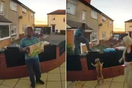 Delivery driver forced to scramble up fence after being chased by two small barking dogs in Staffordshire. The hilarious incident has gone viral with over 860,000 views.