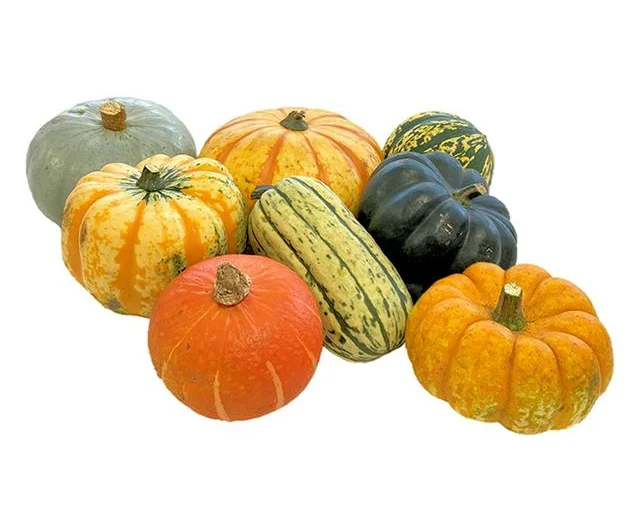 Sainsbury’s is now selling the cheapest carving pumpkins of the major UK supermarkets, with Nectar shoppers paying just 50p each ahead of Halloween.