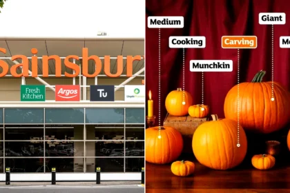 Sainsbury’s is now selling the cheapest carving pumpkins of the major UK supermarkets, with Nectar shoppers paying just 50p each ahead of Halloween.