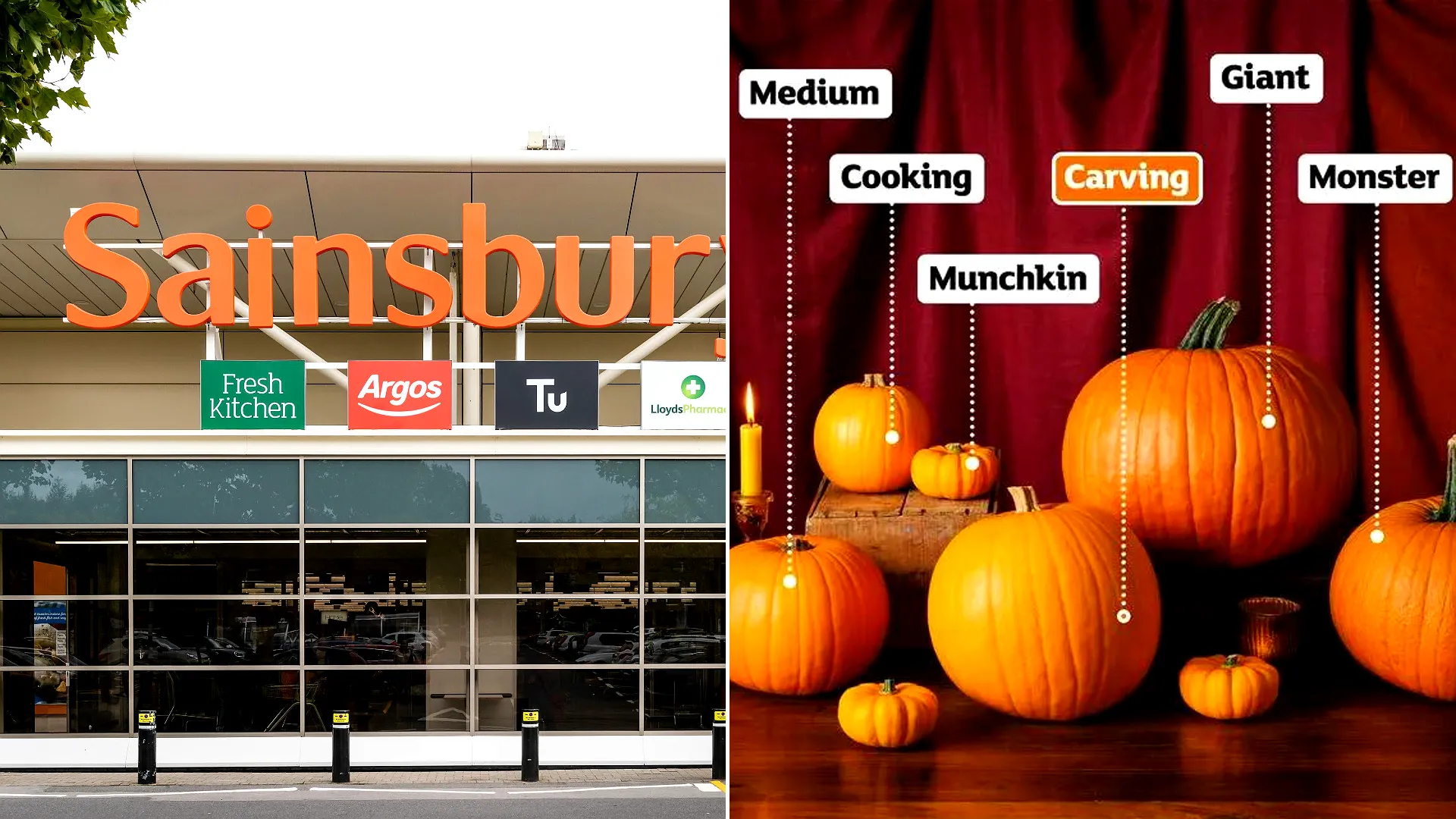 Sainsbury’s is now selling the cheapest carving pumpkins of the major UK supermarkets, with Nectar shoppers paying just 50p each ahead of Halloween.