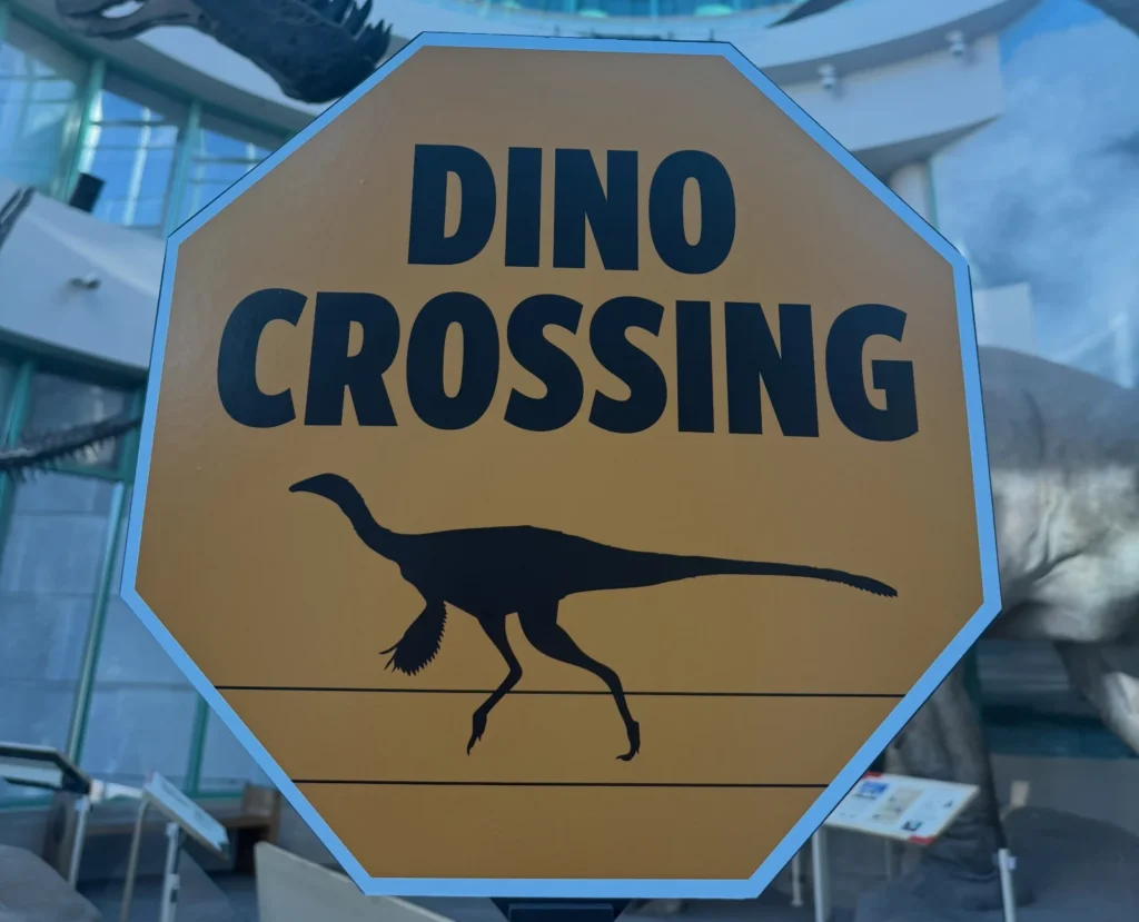 Scientists believe they may have discovered a new species of dinosaur dating back 75 million years. The remarkably complete skeleton was so difficult to move that part.