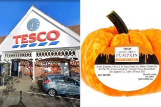 Tesco slashes Halloween pumpkin prices to just 55p - matching Aldi and Lidl's cheapest deal. Families preparing for Halloween can grab standard carving pumpkins at the bargain price.