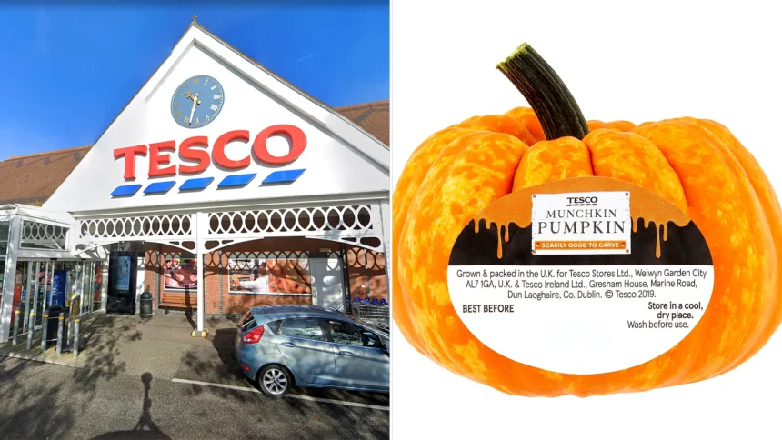 Tesco slashes Halloween pumpkin prices to just 55p - matching Aldi and Lidl's cheapest deal. Families preparing for Halloween can grab standard carving pumpkins at the bargain price.