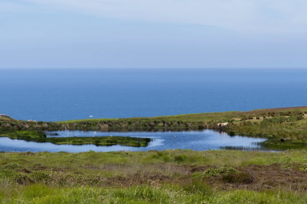British island with 28 residents faces potential evacuation as water supplies plummet to 13% - emergency measures including pond water extraction underway.