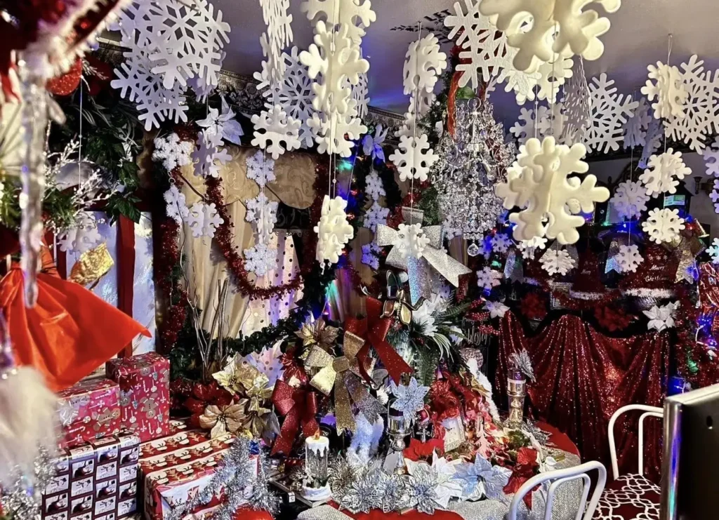 Woman spends nearly £3,800 turning home into festive Christmas grotto 73 days early. Georgia Gaddis transforms her house into a winter wonderland.