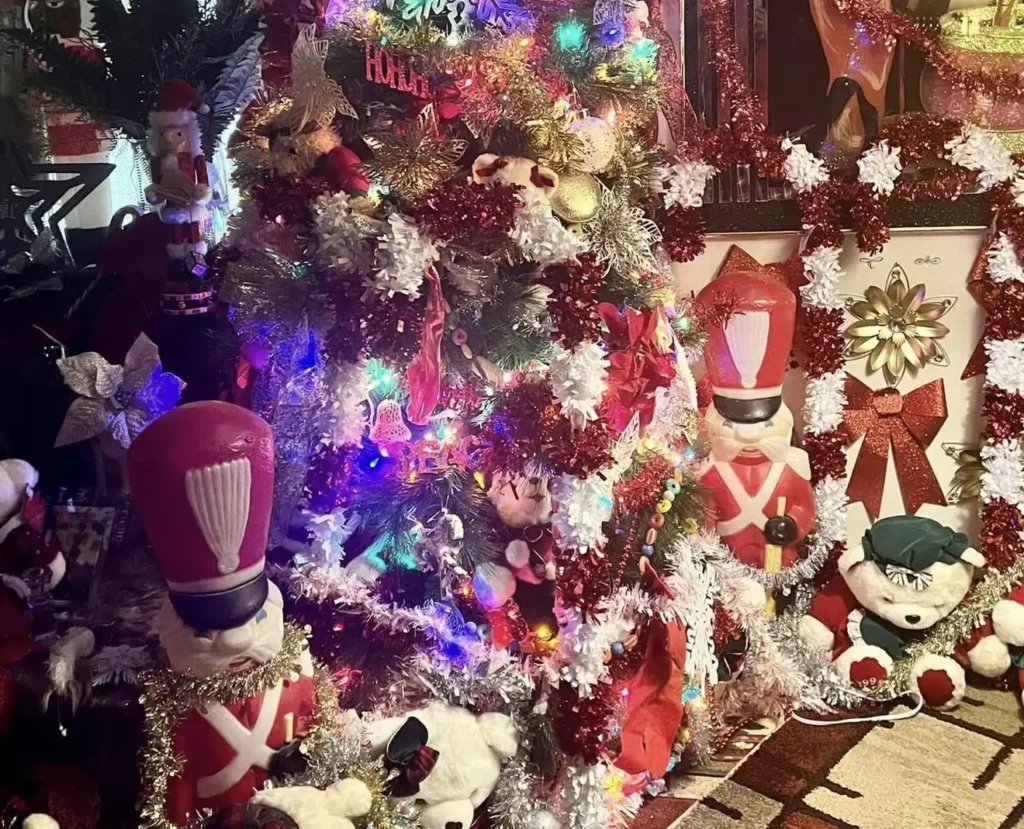 Woman spends nearly £3,800 turning home into festive Christmas grotto 73 days early. Georgia Gaddis transforms her house into a winter wonderland.